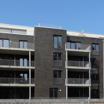 Клинкерный кирпич Roben Brisbane NF22 в Ровно, фото 3