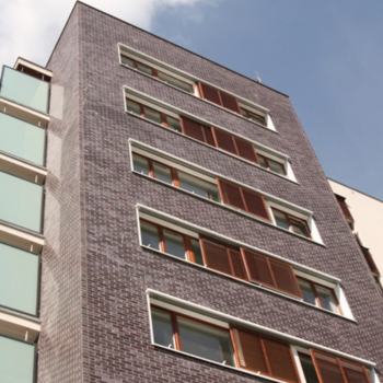 Клінкерна цегла Roben Adelajda LDF19 в Рівному, фото 4