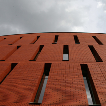 Клінкерна цегла Roben Melbourne LDF16 в Рівному, фото 2