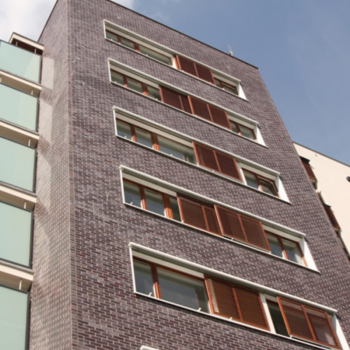 Клінкерна цегла Roben Adelajda XLDF19 в Рівному, фото 2