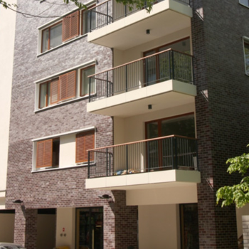 Клінкерна цегла Roben Adelajda XLDF19 в Рівному, фото 3