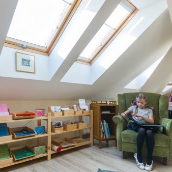 Напівпрозора штора Fakro ARS II в Ковелі, фото 4