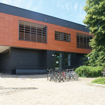 Клінкерна плитка KING KLINKER Polar night 08 в Луцьку, фото 3