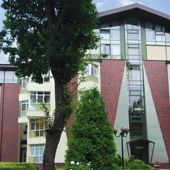 Клінкерна плитка KING KLINKER Wild wine 04 в Луцьку, фото 2