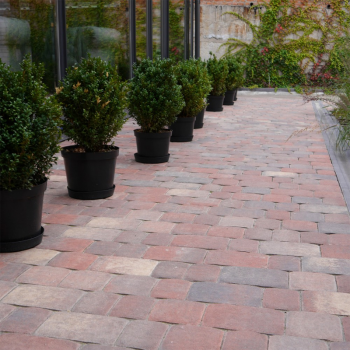 Тротуарна плитка Золотой Мандарин, Старая площадь в Ровно, фото 8