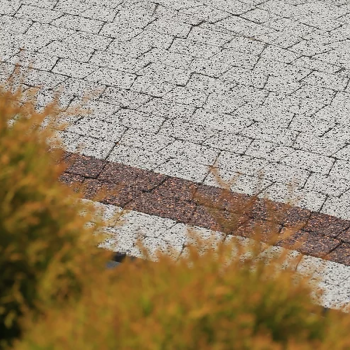 Бруківка Polbruk Avanti в Ковелі, фото 21