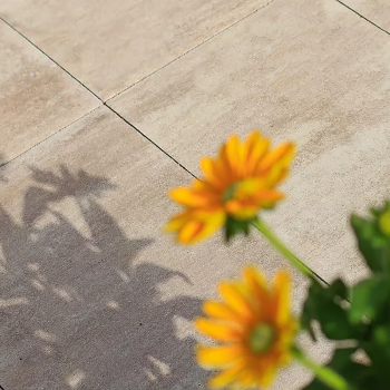 Тротуарна плитка Polbruk Lamell в Луцьку, фото 18