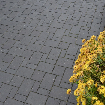 Клінкерна бруківка Vandersanden Milano O в Луцьку, фото 4