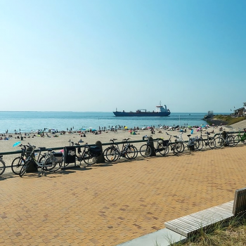 Клінкерна бруківка Vandersanden Plauen в Ковелі, фото 8