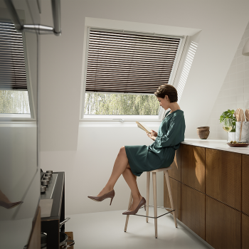 Жалюзи Velux PAL в Ивано-Франковске, фото 9