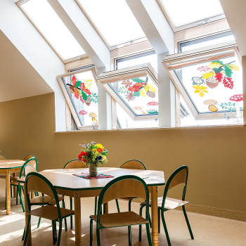 Жалюзі Fakro AJP в Ковелі, фото 4