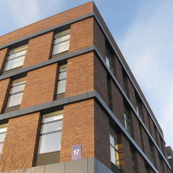 Клинкерный кирпич Керамейя Рустика Топаз 53 в Ковеле, фото 14