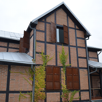 Клинкерный кирпич Керамейя Рустика Топаз 3 в Луцке, фото 19