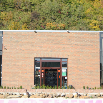 Клинкерный кирпич Керамейя Рустика Топаз 3 в Луцке, фото 15