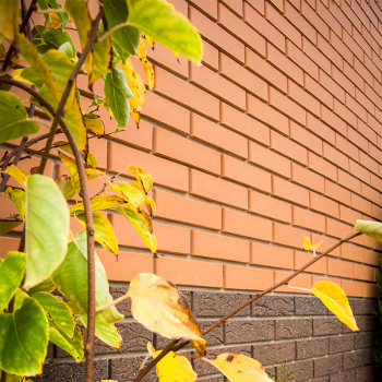 Клинкерный кирпич Керамейя Янтарь в Луцке, фото 20