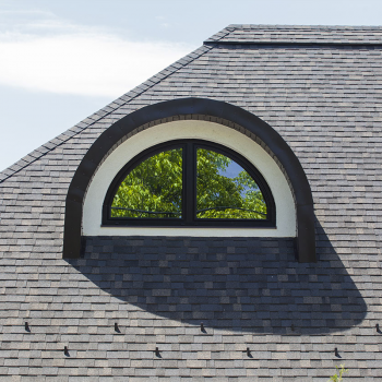 Битумная черепица Tegola Master в Ровно, фото 2