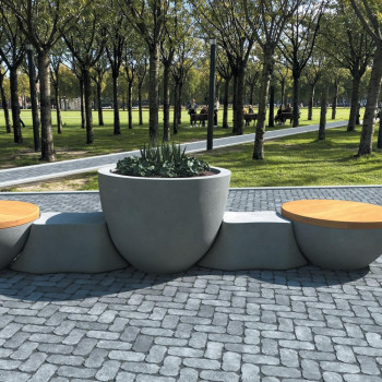 Квітник Золотий Мандарин Пелвес L в Ковелі, фото 3