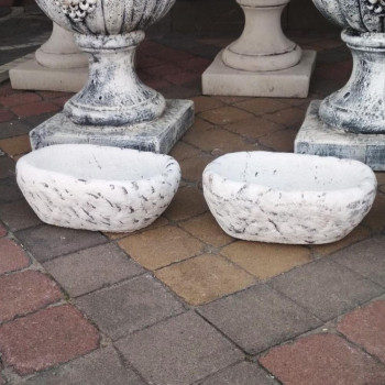 Квітник Золотий Мандарин Чаша Пекеньо в Ковелі, фото 2