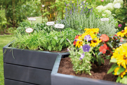 Высокая грядка ERGO, длина 55 см, высота 25 см (комплект = 6 панелей) в Луцке, фото 4