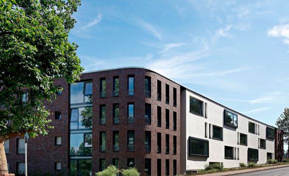 Клинкерный кирпич Roben NEWCASTLE в Луцке, фото 2