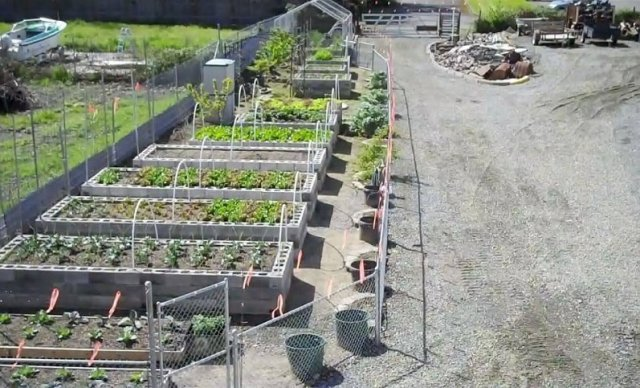 Грядки з бетонних блоків